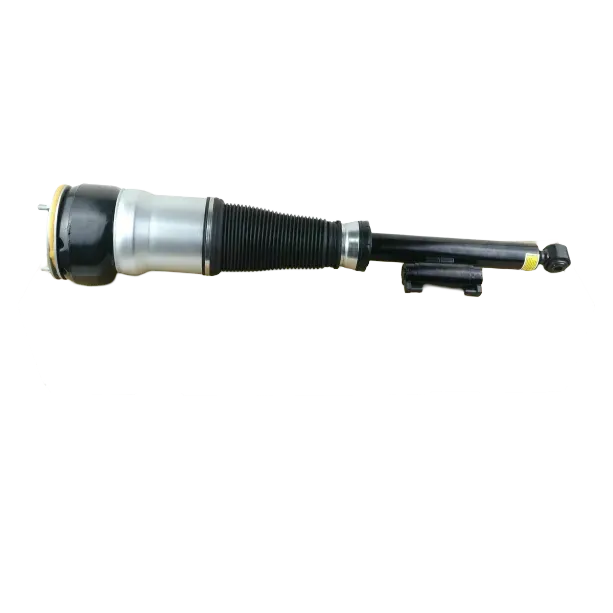 SHOCK ABSORBER Repl. A2223202600